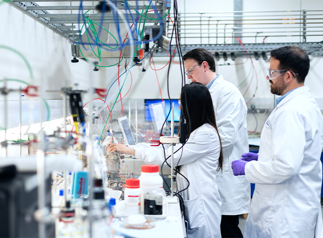 ابحث عن تخصصك الدراسي