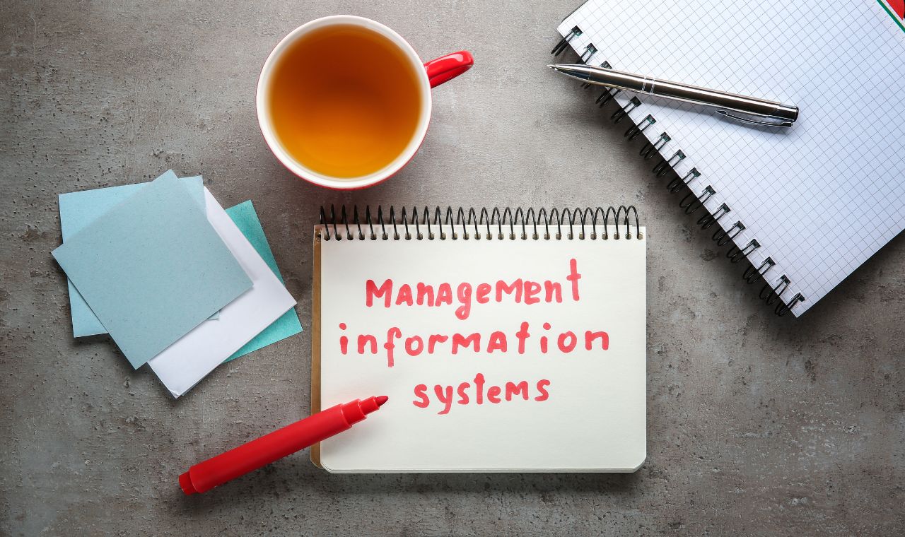 دراسة نظم المعلومات الإدارية في تركيا