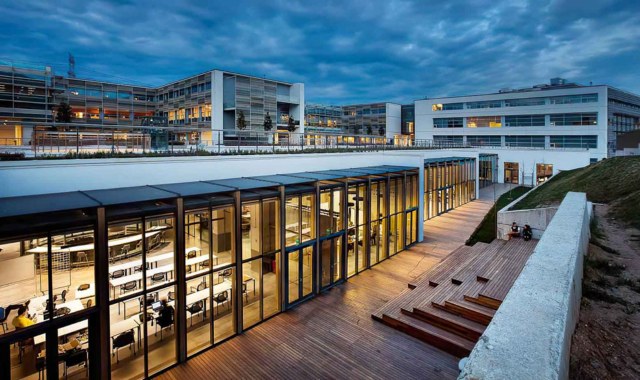 جامعة أوزيجين