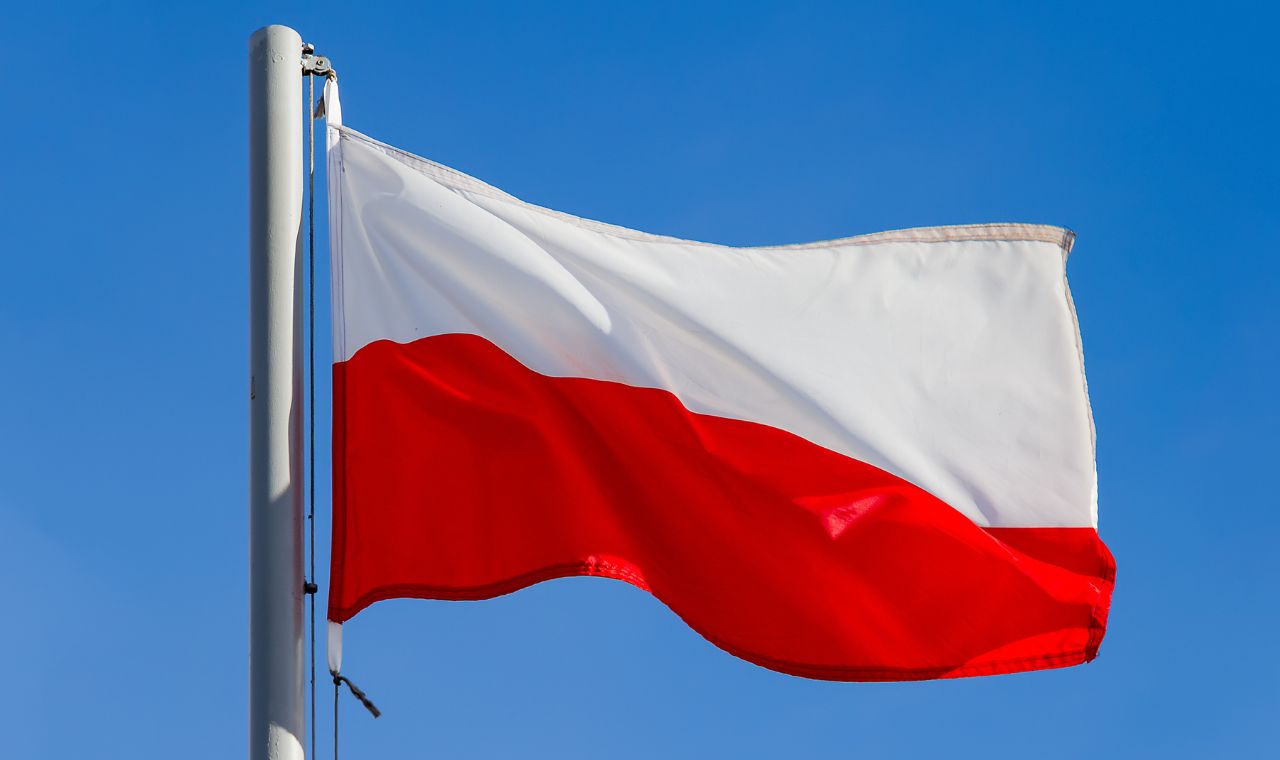 الدراسة في بولندا