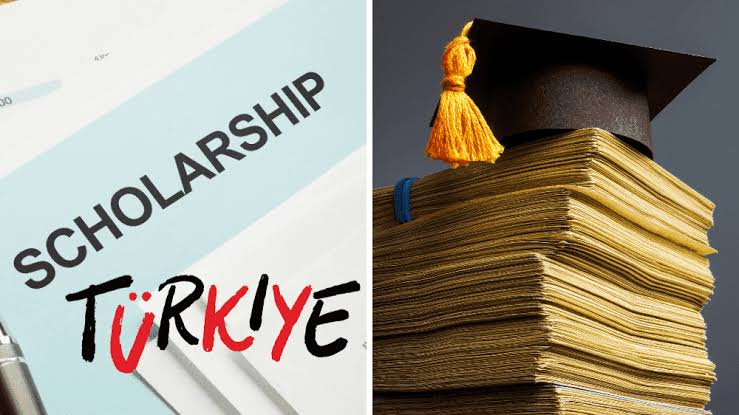 تخصصات المنحة التركية 2024